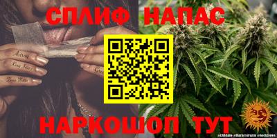стаф Абакан