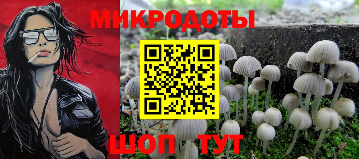 Галлюциногенные грибы мухоморы  Апатиты  Псилоцибиновые грибы Psilocybine cubensis 