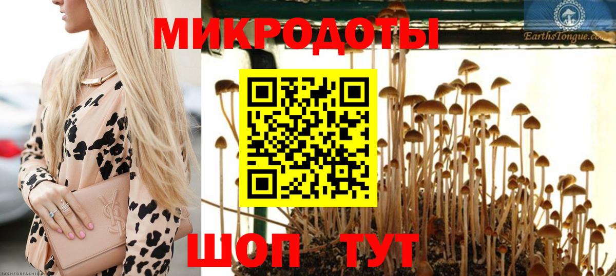 Псилоцибиновые грибы ЛСД Апатиты