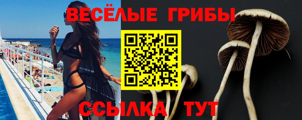 где купить   Вход с VPN  Апатиты  Псилоцибиновые грибы мухоморы 